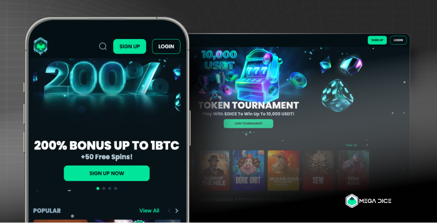 Image of the MegaDice platform interface