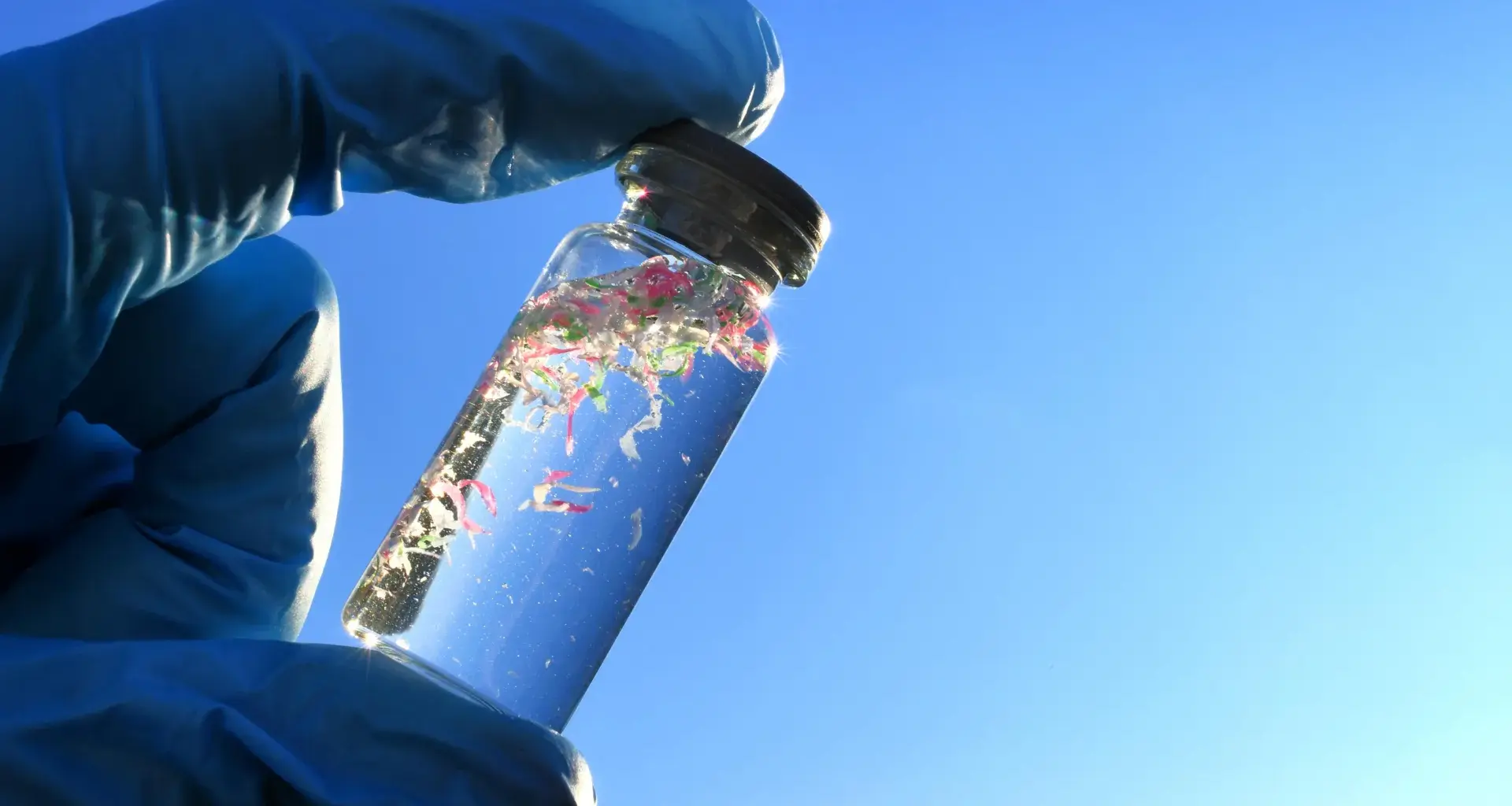 Microplastics are undermining the ocean’s power to absorb carbon