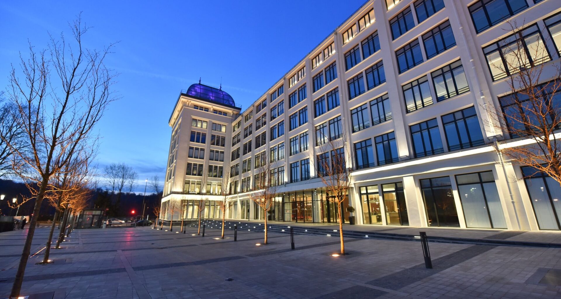 NEALogonScreenBackground