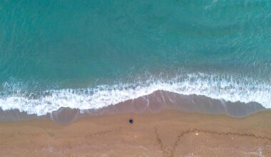 Aerial view shows the sandy shoreline of Karasu in Sakarya province meeting turquoise waves along the Black Sea coast near Adapazari, Türkiye, accessed on January 8, 2025. (Adobe Stock Photo)