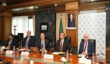 OPEC+ countries reaffirm pledge to freeze oil production increase in Q1