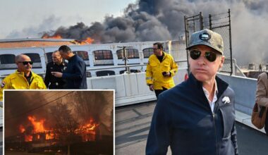 Newsom to visit wildfire-charred LA on deadly blaze anniversary