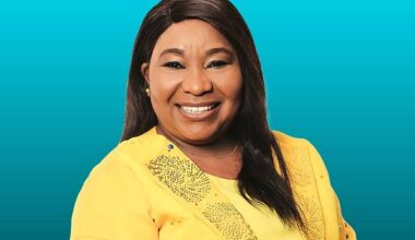 Nigerian-Irish councillor spat at during racial attack in Navan