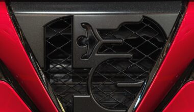 Alfa Romeo nie musi myśleć o dużej sprzedaży