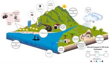 Oceans struggle to absorb Earth's carbon dioxide as microplastics invade their waters