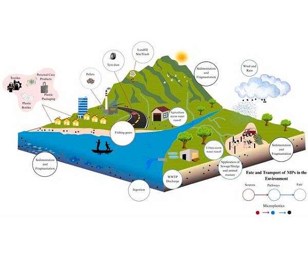 Oceans struggle to absorb Earth's carbon dioxide as microplastics invade their waters