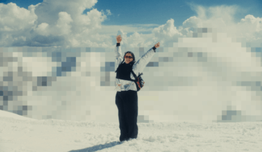 Kampagne "Non Disclosure Austria (NDA)"