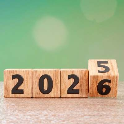 DOGE was government contracting's biggest story of 2025 — and it's not close