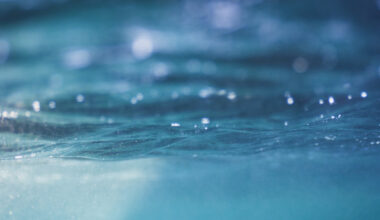 BIS and central banks of France, Singapore and Switzerland successfully test cross-border wholesale CBDCs