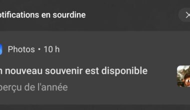 Quelle belle image pour définir l'année