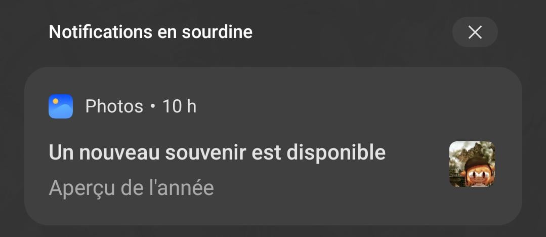 Quelle belle image pour définir l'année