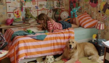 Second-best year on record for Croatian films at the cinema – here were the most popular