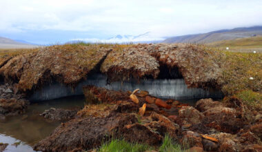 ‘Zombie Viruses’ Make Great Science Fiction but Aren’t a Threat from Thawing Permafrost, CSUN Prof Says