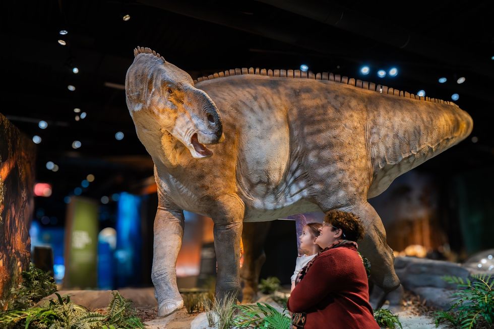Person and child admire a dinosaur exhibit at Edelman Fossil Park & Museum
