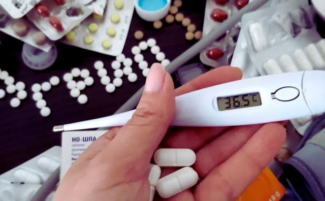 Bulgaria: Four Bulgarian Regions on the Verge of Flu Epidemic