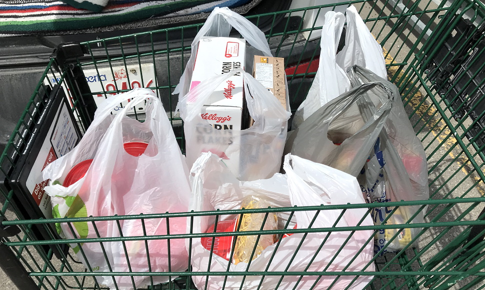 The Canada Groceries and Essentials Benefit explained: Who gets it and how it helps - CentralAlbertaOnline.com