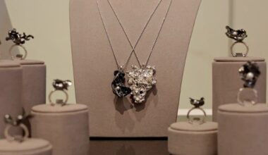 Pink Panthers heist Greece