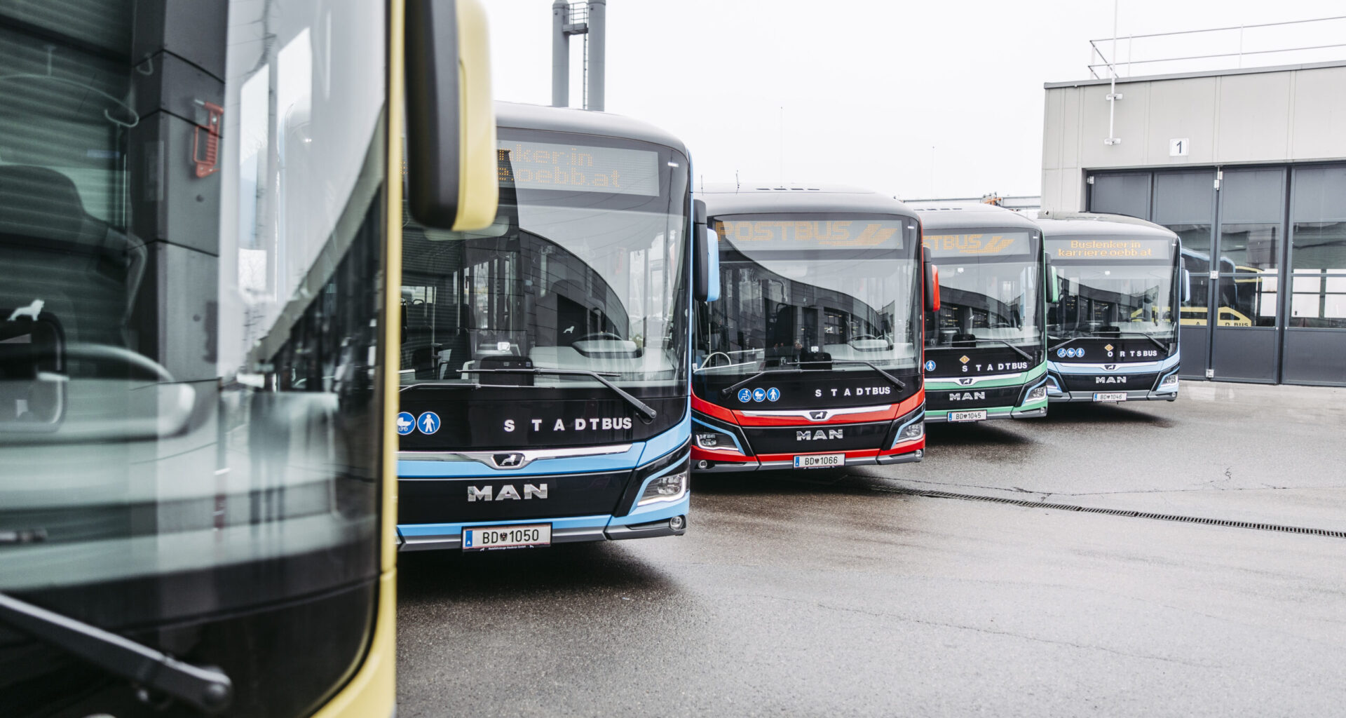 A line of buses