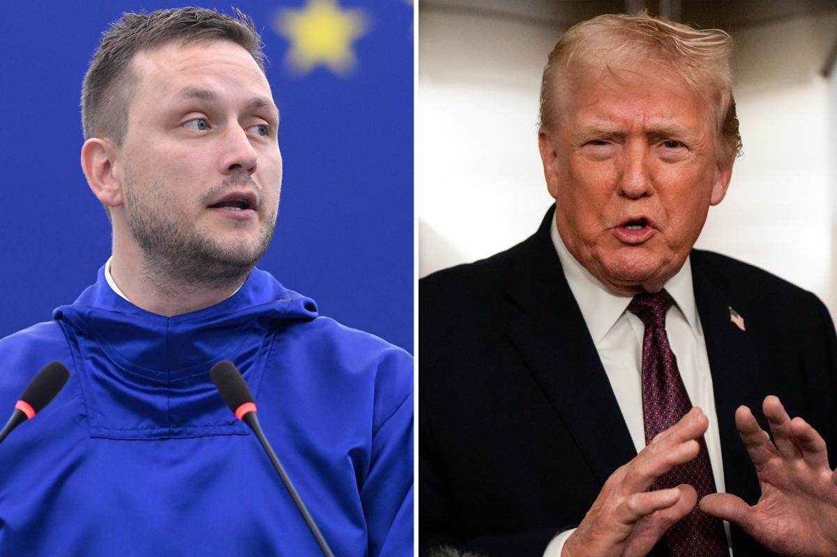 Greenland calls on NATO for protection from possible US invasion