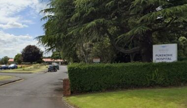 Newborn with 'non-survivable injuries' dies in hospital, pair charged