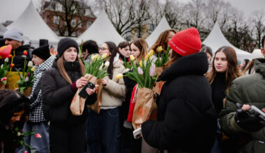 Covor de petale la Amsterdam. Peste 200.000 de lalele, expuse de Ziua internaţională a lalelei