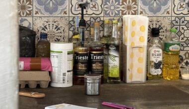 Slovenski vpliv na Baliju