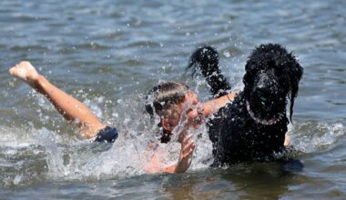 Alby Geary, 8, and Winnie have some fun in the sun at Carrington Dog Beach on Sunday afternoon. Picture Peter Lorimer