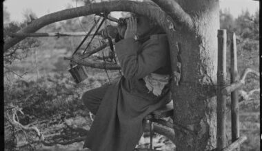Finnish artillery observer in tree 1941