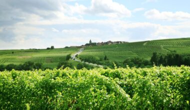 Natural capital drives EU regional growth