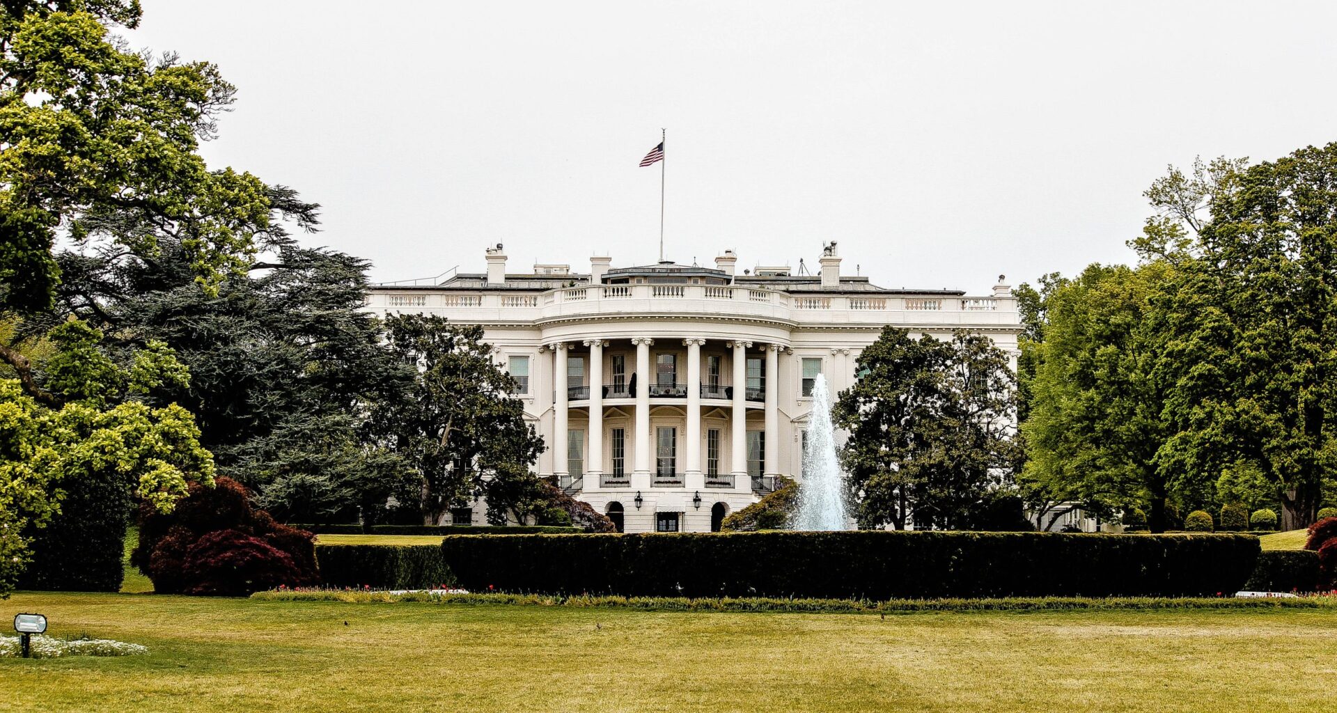 Artists criticise White House after ICE shooting in Minneapolis