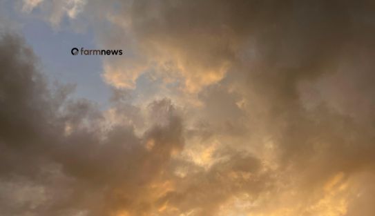 The Real Risk of 2026 Is Not Geopolitics. It Is Supply Chain Fragility in Brazil