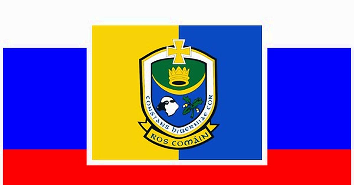 Roscommon paired with Slovenia for Ireland's EU presidency