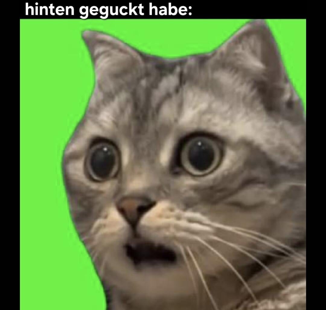 ich👁👄👁iel