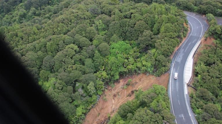 Saddle slip south of Kuaotunu