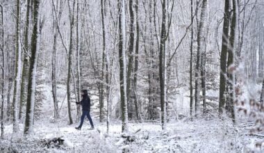 Lokales, Chutes de neige, Schneefall, snowfall, Spaziergänger im Wald,  foto:Chris Karaba/Luxemburger Wort