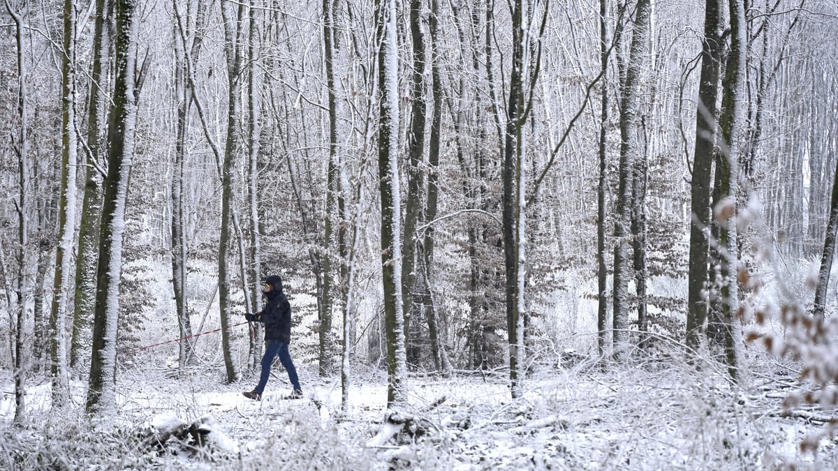 Lokales, Chutes de neige, Schneefall, snowfall, Spaziergänger im Wald,  foto:Chris Karaba/Luxemburger Wort
