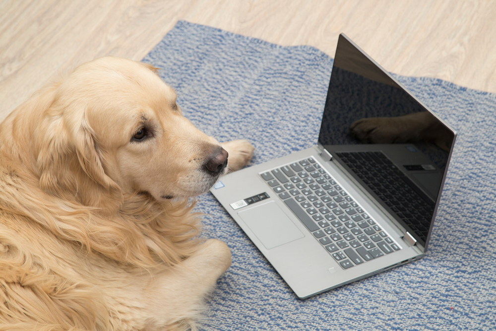 RAG ‘2.0’: the Instructed Retriever links AI agents to the right data