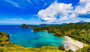 Cat Relocation Triggers Stunning Ecosystem Comeback In Japan – One Green Planet