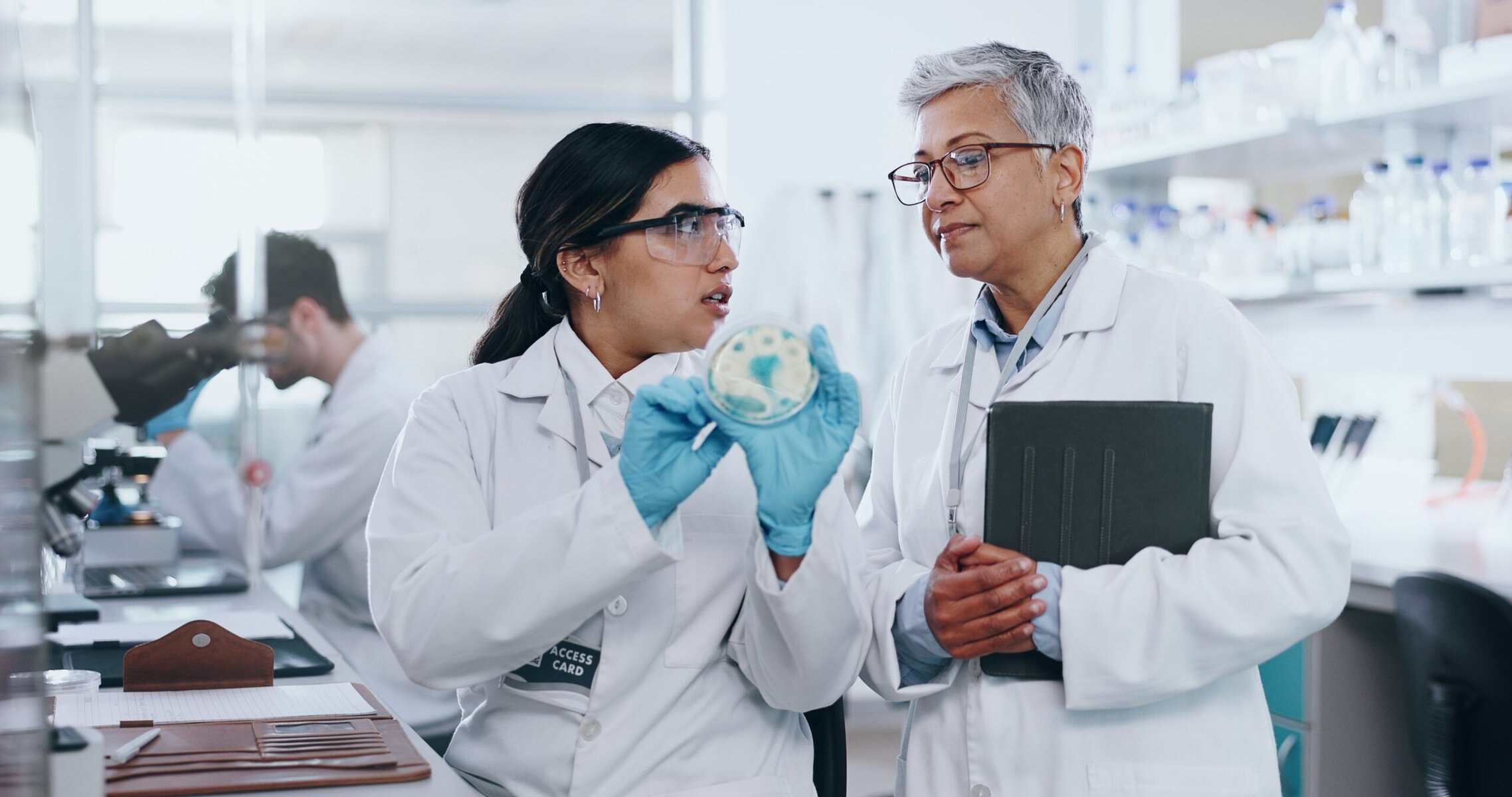 A student undertaking a biochemistry internship holds a petri dish