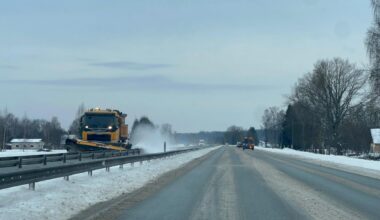 Sniegota &scaron;oseja.