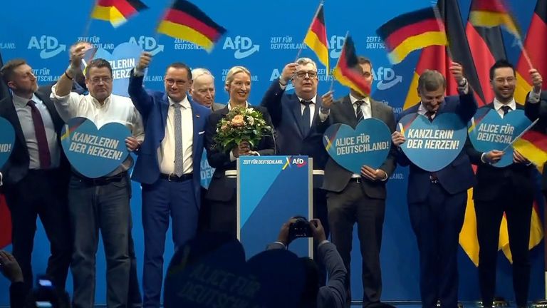 The far-right Alternative for Germany (AfD) party has soared in the polls
