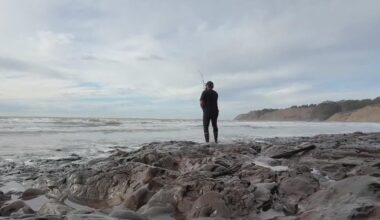 Bay Area environmental group pushes to ban all fishing at Duxbury Reef