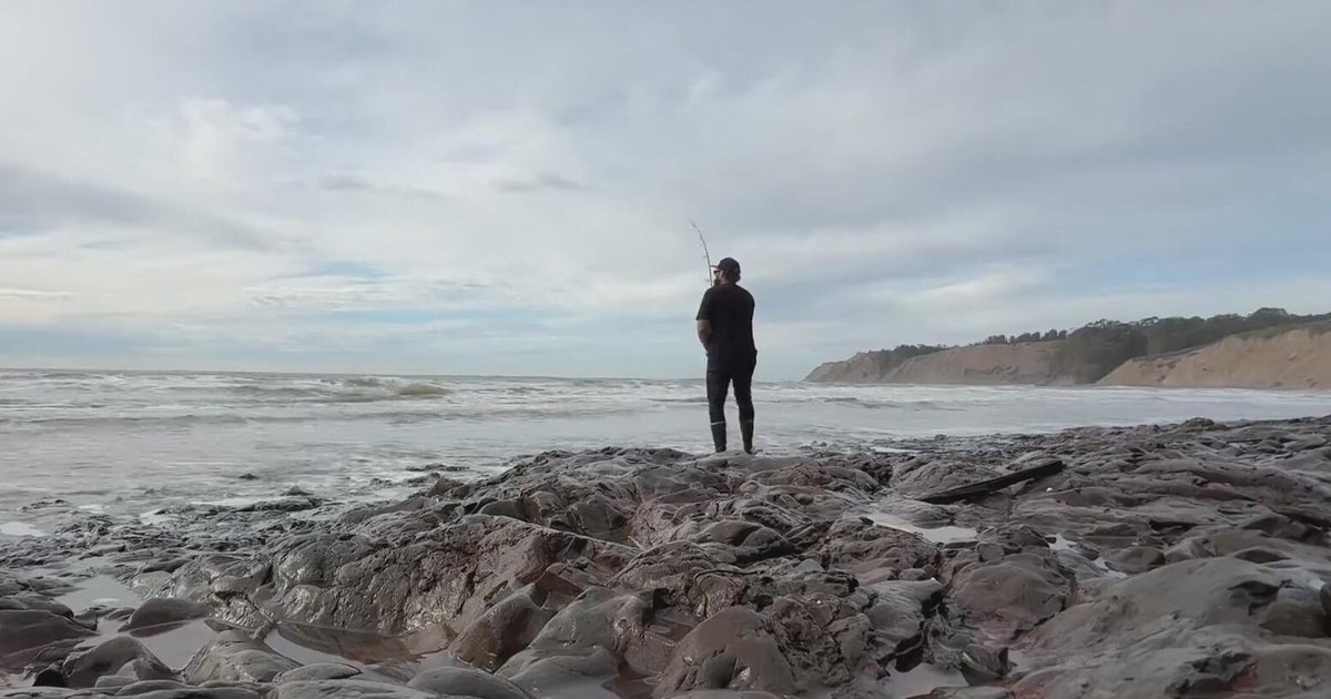 Bay Area environmental group pushes to ban all fishing at Duxbury Reef