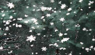 How to get a SC business, school closing code from WYFF News 4