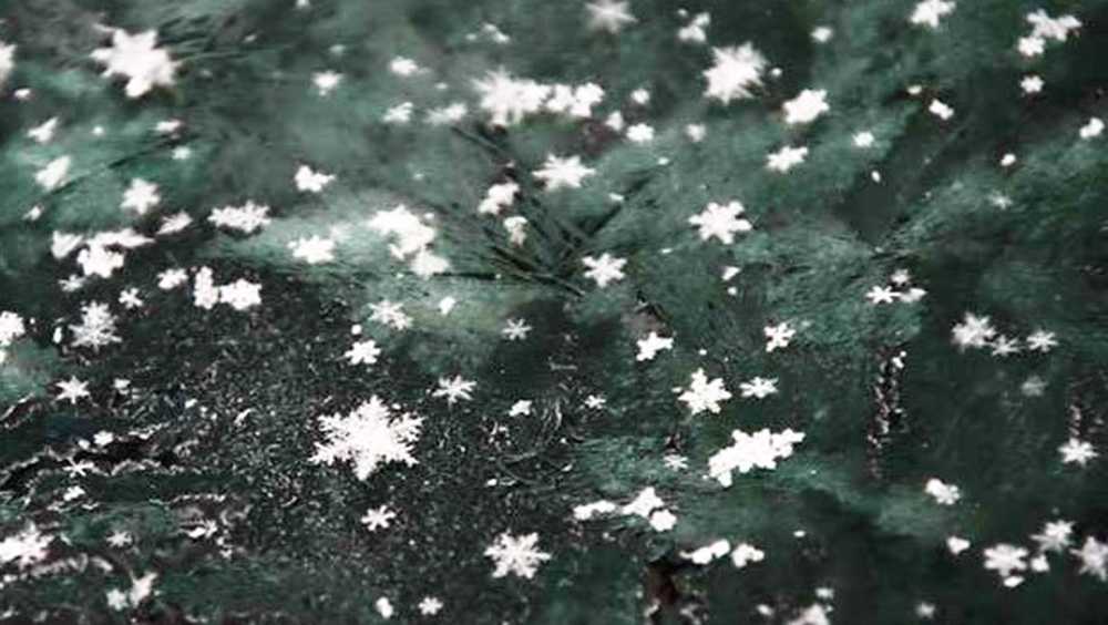 How to get a SC business, school closing code from WYFF News 4