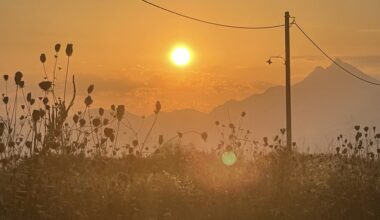 Unde suntem și încotro mergem