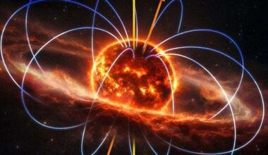 M dwarf plasma torus offers window into space weather and planetary habitability