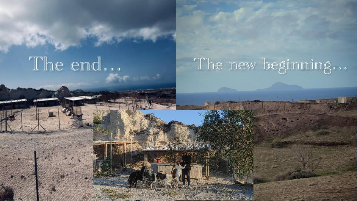 Η νέα στέγη του καταφυγίου αδέσποτων ζώων StrayPaws Santorini ζητά την στήριξη σου