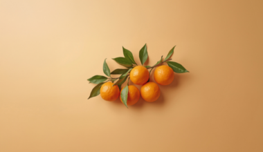 suchang enters Japan’s health food market with Jeju mandarin chenpi functional ingredient