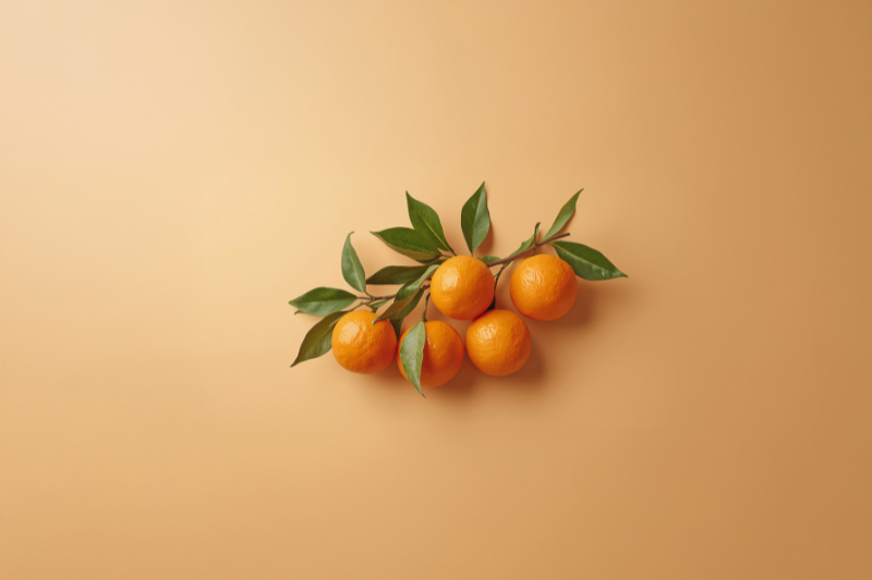 suchang enters Japan’s health food market with Jeju mandarin chenpi functional ingredient